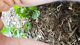 FTM Squatting Pee Outside On Plants