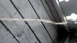 Desperately peeing outside during the time that cars drive by!