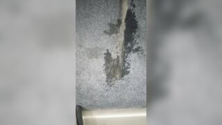 Sexually excited pee on the carpet
