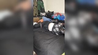 trying head harnes hogtie