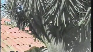 Shemale gives stud head and takes dong in her booty & cum on face