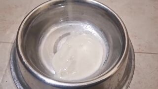 Cute Trans Cutie Drinks Biggest load of Cum after Sucking Large Ebony Sex toy and gets Overspread in Goo