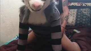 Pup gal screws roughly a bad fur doxy