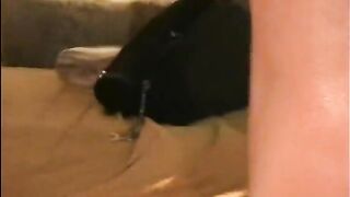 2 tgirls with monster schlongs and giant bazookas