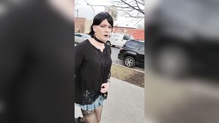 Crystal Dragon daring December display4