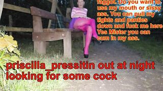 Pricilla-pressitin slideshow of Daddydave1 Captions.