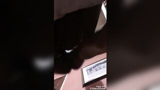 Muscle thug banging jamaican shemale bareback